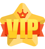 VIP Rewards System